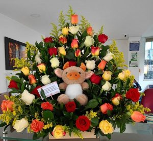 Pirámide de 50 rosas multicolor con peluche( Peluche a disponibilidad). R173